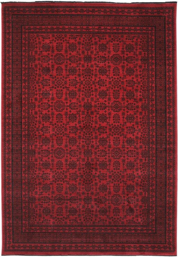 Afghan